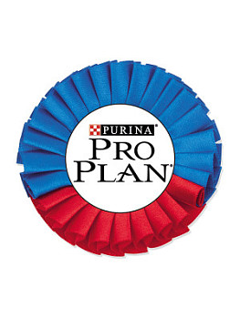 Розетка наградная из лент - PS1242-RG