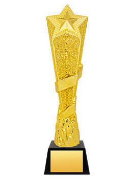 Приз тематический «Звезда - PS1970